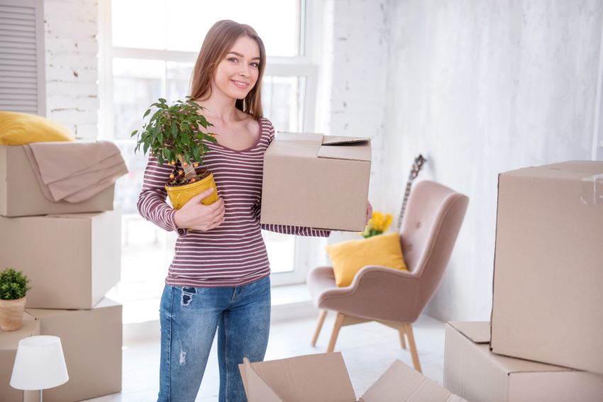 Cómo transportar plantas